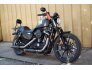 2020 Harley-Davidson Sportster Iron 883 for sale 201250413