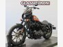 2020 Harley-Davidson Sportster Iron 1200 for sale 201261930