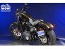 2020 Harley-Davidson Sportster Iron 883 for sale 201277516