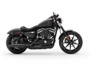 2020 Harley-Davidson Sportster Iron 883 for sale 201298006