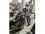 2020 Harley-Davidson Sportster Iron 1200 for sale 201298300
