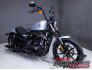 2020 Harley-Davidson Sportster Iron 883 for sale 201301117