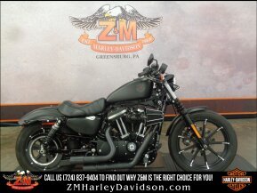 2020 Harley-Davidson Sportster Iron 883 for sale 201302518