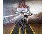 2020 Harley-Davidson Sportster Iron 1200 for sale 201314387
