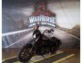 2020 Harley-Davidson Sportster Iron 1200 for sale 201314387