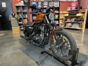 2020 Harley-Davidson Sportster Iron 883 for sale 201315378