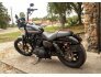 2020 Harley-Davidson Sportster Iron 1200 for sale 201318516