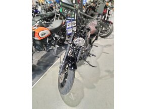 2020 Harley-Davidson Sportster Roadster for sale 201318978