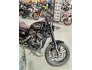 2020 Harley-Davidson Sportster Roadster for sale 201318978