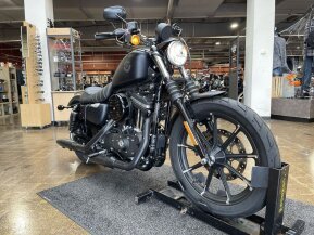 2020 Harley-Davidson Sportster Iron 883 for sale 201336224