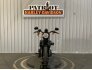 2020 Harley-Davidson Sportster Iron 883 for sale 201346852