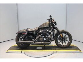 2020 Harley-Davidson Sportster Iron 883 for sale 201525714