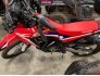 2020 Honda CRF250L Rally for sale 201299580