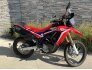 2020 Honda CRF250L Rally for sale 201351516
