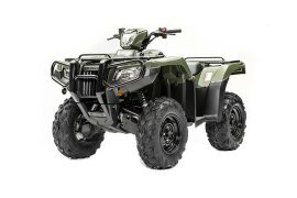 2020 Honda FourTrax Foreman Rubicon 4x4 Automatic DCT EPS specifications