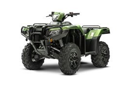 2020 Honda FourTrax Foreman Rubicon 4x4 Automatic DCT EPS Deluxe specifications