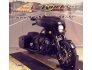 2020 Indian Chieftain Dark Horse for sale 201261344