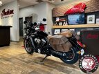 Thumbnail Photo 7 for 2020 Indian Scout