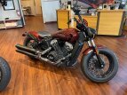 Thumbnail Photo 1 for 2020 Indian Scout Bobber "Authentic" ABS
