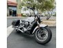 2020 Indian Scout ABS for sale 201290596