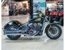 2020 Indian Scout ABS for sale 201330505