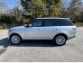 2020 Land Rover Range Rover HSE for sale 101817184