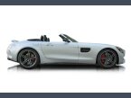 Thumbnail Photo 2 for 2020 Mercedes-Benz AMG GT