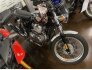 2020 Royal Enfield Continental GT for sale 201372860