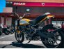 2021 Ducati Scrambler Desert Sled for sale 201282070