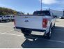 2021 Ford F150 for sale 101798468