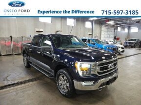 2021 Ford F150 for sale 101980423