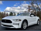 Thumbnail Photo 5 for 2021 Ford Mustang