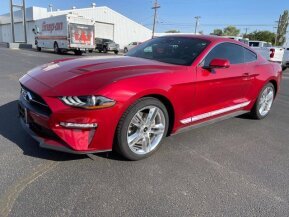 2021 Ford Mustang for sale 101796682