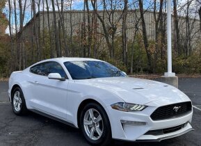 2021 Ford Mustang for sale 101961451