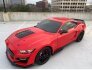 2021 Ford Mustang Shelby GT500 Coupe for sale 101677129