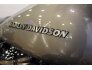2021 Harley-Davidson CVO for sale 201204230