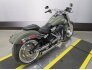 2021 Harley-Davidson Softail for sale 201204174