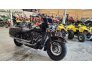 2021 Harley-Davidson Softail for sale 201240376