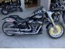 2021 Harley-Davidson Softail Fat Boy 114 for sale 201259774