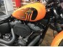 2021 Harley-Davidson Softail Street Bob 114 for sale 201273369