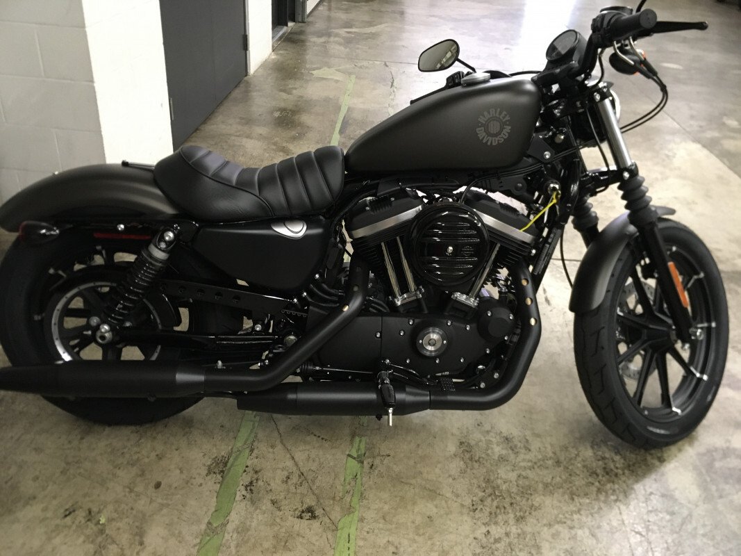 harley davidson iron 884