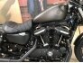 2021 Harley-Davidson Sportster Iron 883 for sale 201192400
