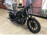 2021 Harley-Davidson Sportster Iron 883 for sale 201192400
