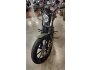 2021 Harley-Davidson Sportster Iron 883 for sale 201193131