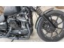 2021 Harley-Davidson Sportster Iron 883 for sale 201275605