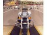 2021 Harley-Davidson Touring Road King for sale 201161767