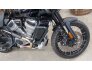 2021 Harley-Davidson Pan America Special for sale 201262097