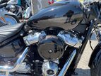 Thumbnail Photo 4 for 2021 Harley-Davidson Softail Standard