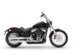 Thumbnail Photo 12 for 2021 Harley-Davidson Softail Standard