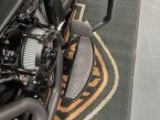 Thumbnail Photo 3 for 2021 Harley-Davidson Softail